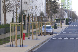 Rénovation urbaine quartier Argonne - avenue de la Marne