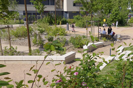 Rénovation urbaine quartier La Source - Jardin de la Renaissance