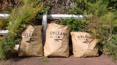 Collecte des déchets végétaux