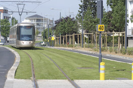Le tram - Quartier de l'Argonne