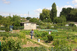 jardin ouvrier quartier Barrière St Marc