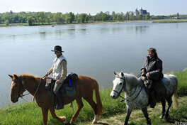 Promenade à cheval en bords de Loire