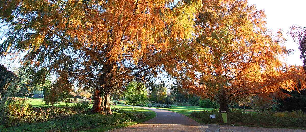 Parc Floral