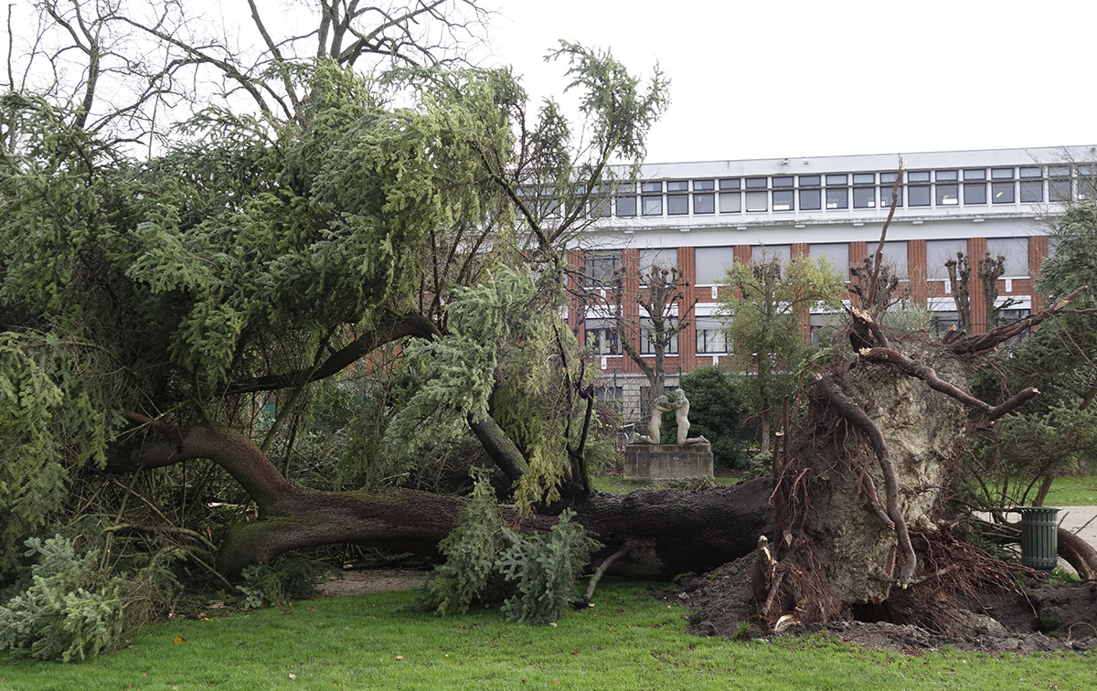 Tempête à Orléans, parc Pasteur 2018